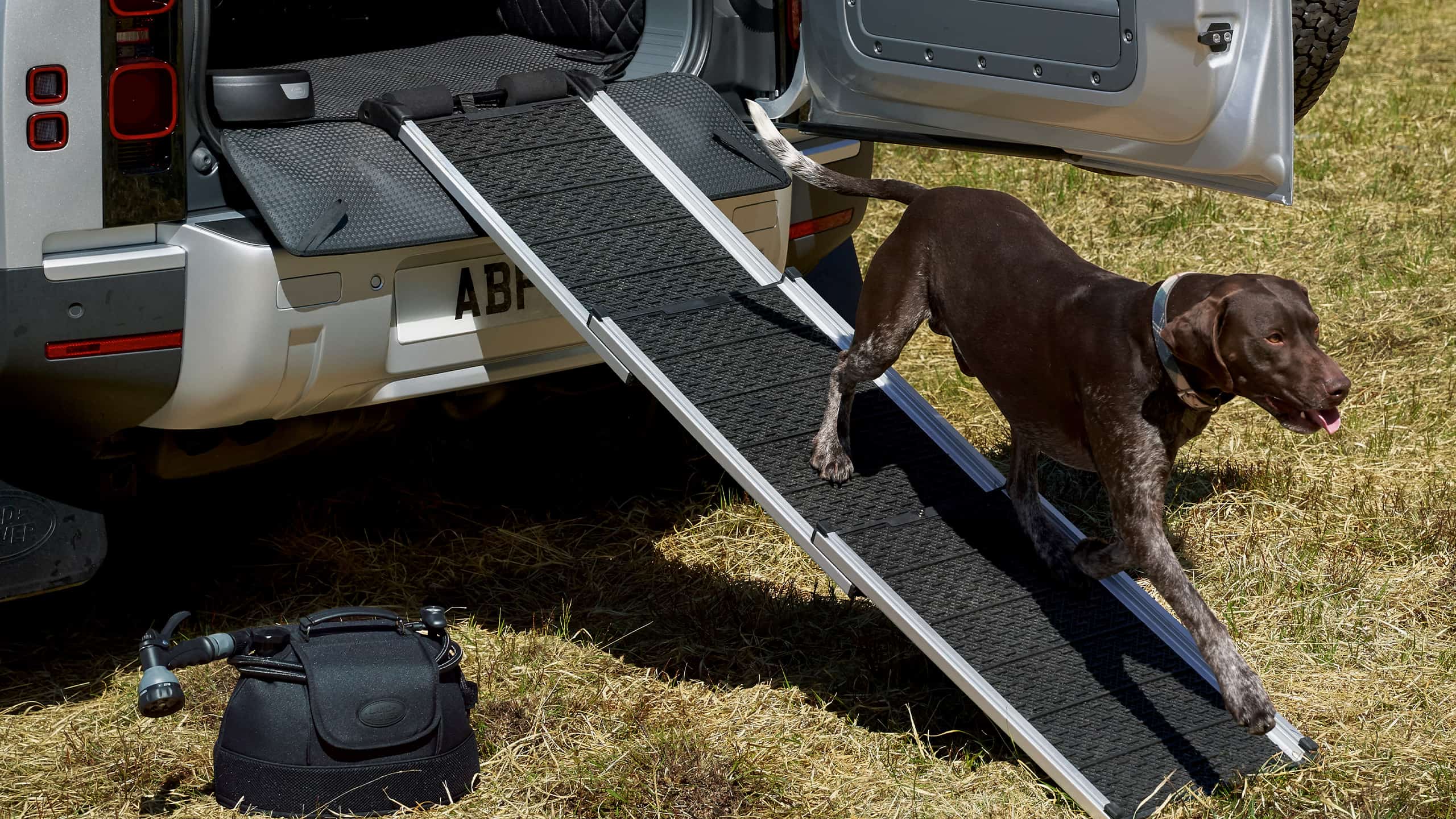 Defender Pet Accessories features