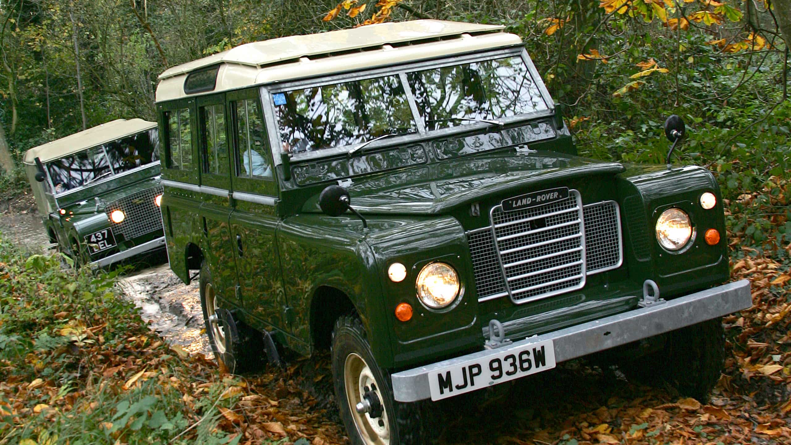 A classic Green Old Land Rover diving along a narrow forest path, followed by another similar vehicle.